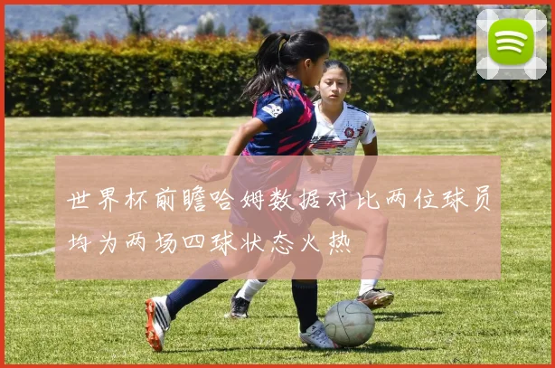 世界杯前瞻哈姆数据对比两位球员均为两场四球状态火热