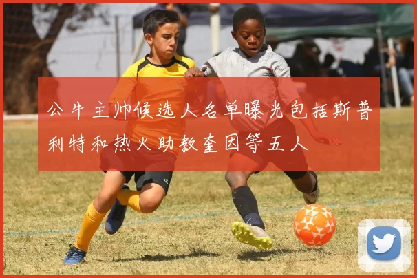 公牛主帅候选人名单曝光包括斯普利特和热火助教奎因等五人