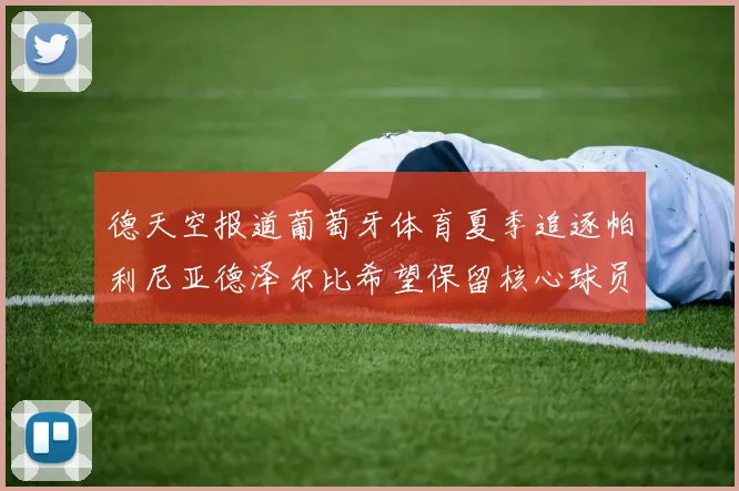 德天空报道葡萄牙体育夏季追逐帕利尼亚德泽尔比希望保留核心球员